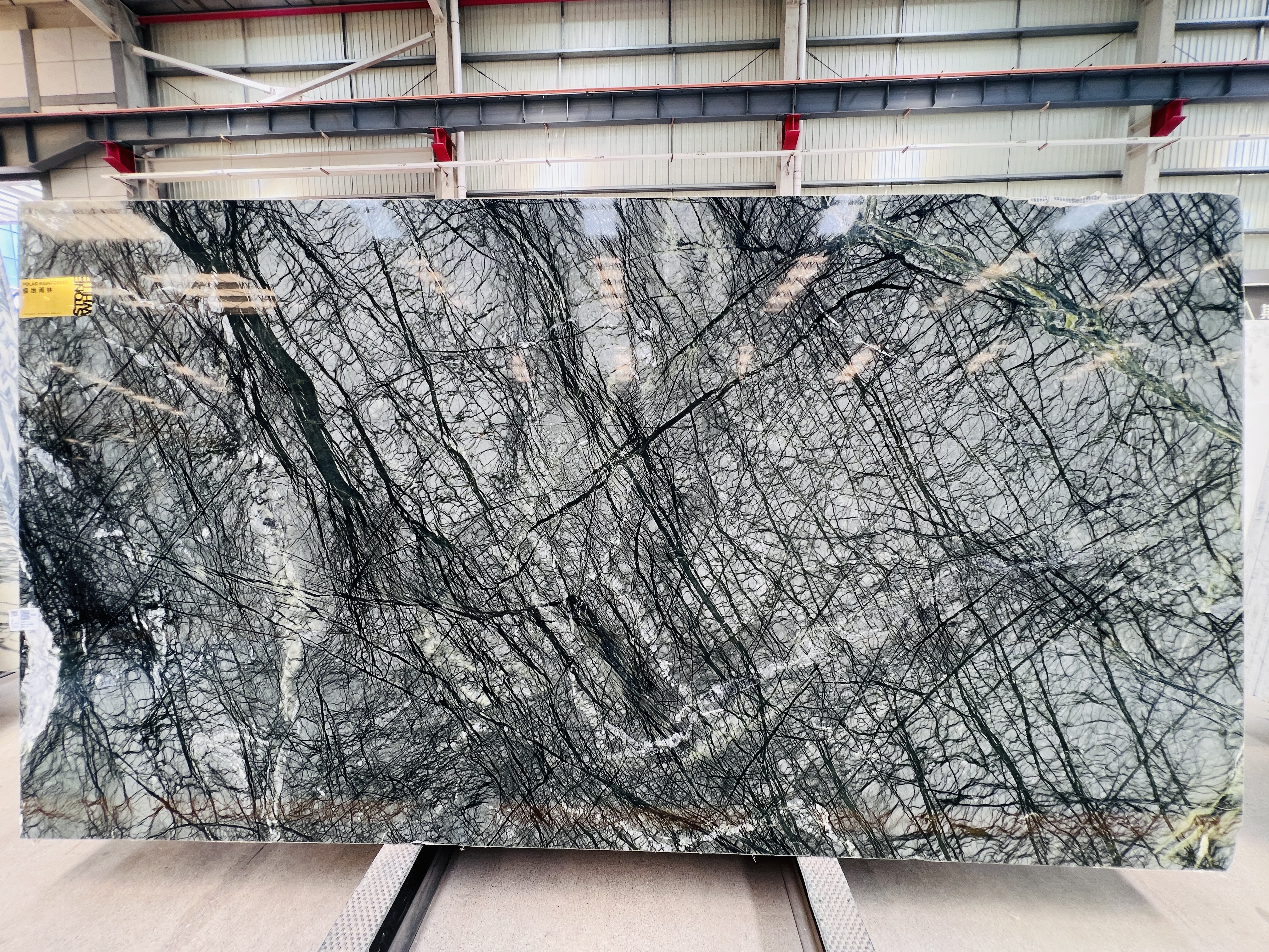 Polar Rainforest Green Marble