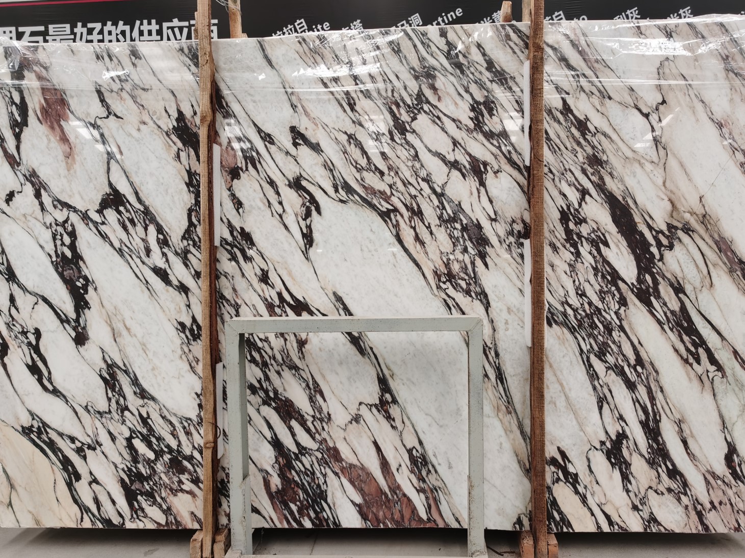 Italy Calacatta Viola Marble Slab