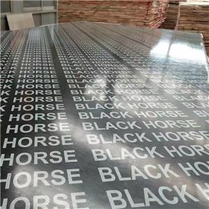 13mm finger joint black film faced plywood with logo printed