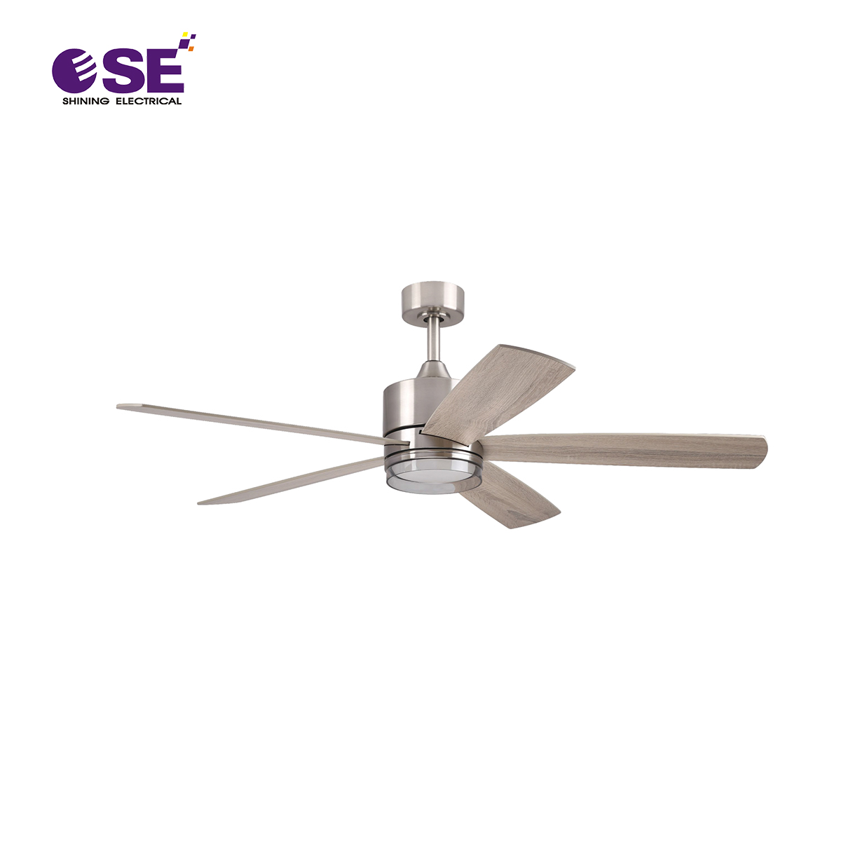 AC DC decorative hang fans