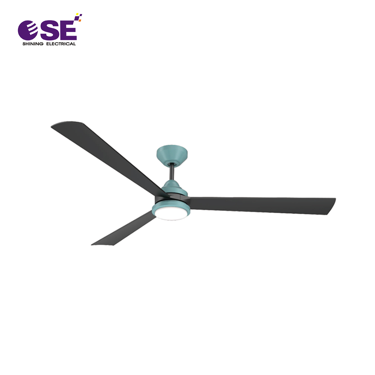 AC DC decorative hang fans