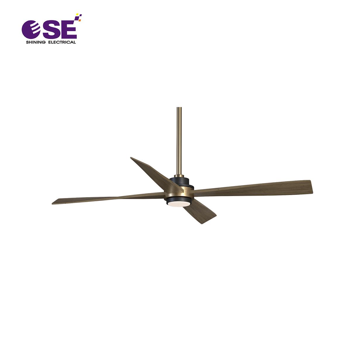 AC DC decorative hang fans