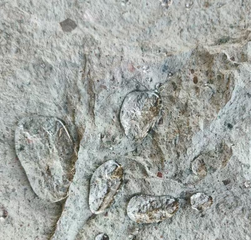 Green Rockface Limestone Size 200x200x20mm