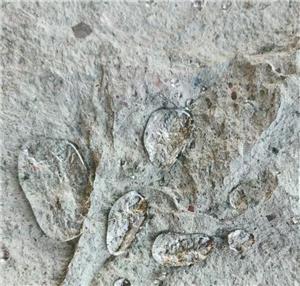 Green Rockface Limestone Size 200x200x20mm