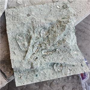 Green Rockface Limestone Size 200x200x20mm
