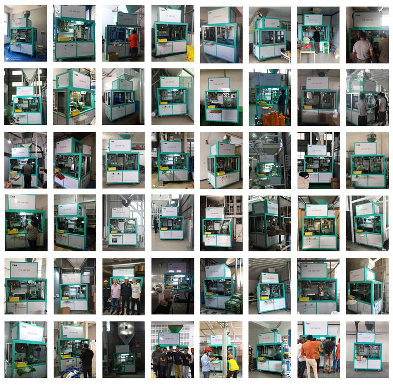Supply Rice Vacuum Packer Wholesale Factory - Zhangzhou Jialong 