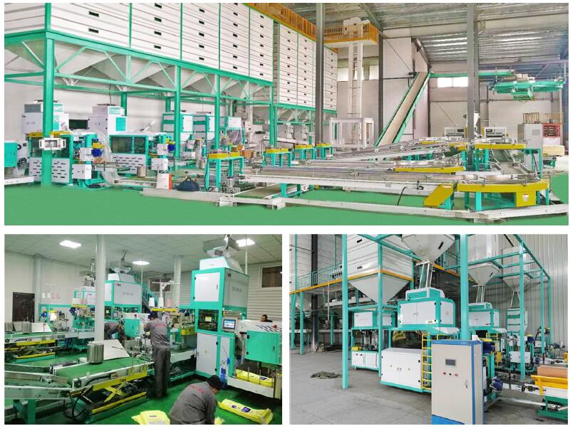 Rice Packing line solution