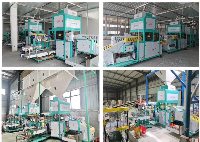 Rice Filling Packing Machine