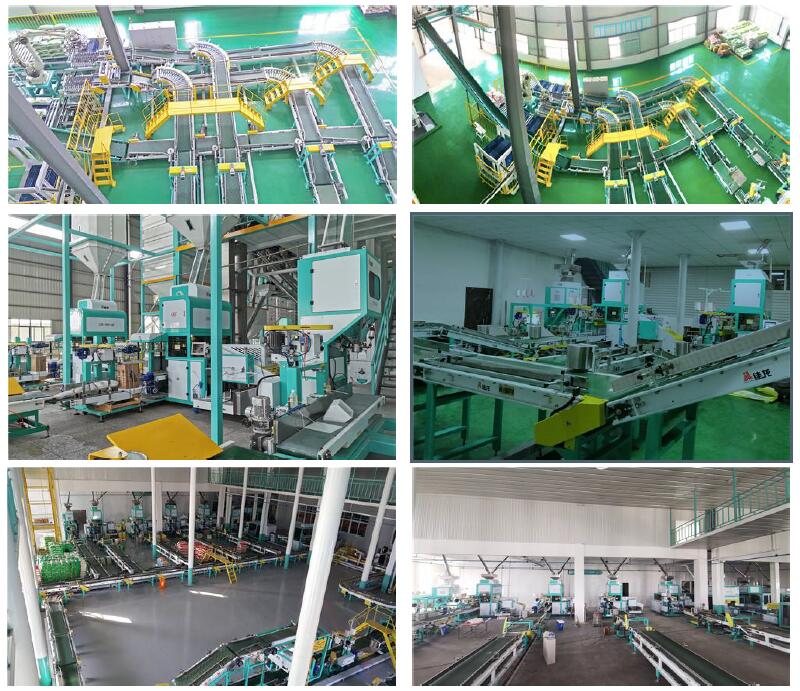 500kg rice packing machine