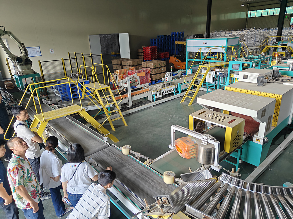 Automated Packaging Line Automated Packaging Line