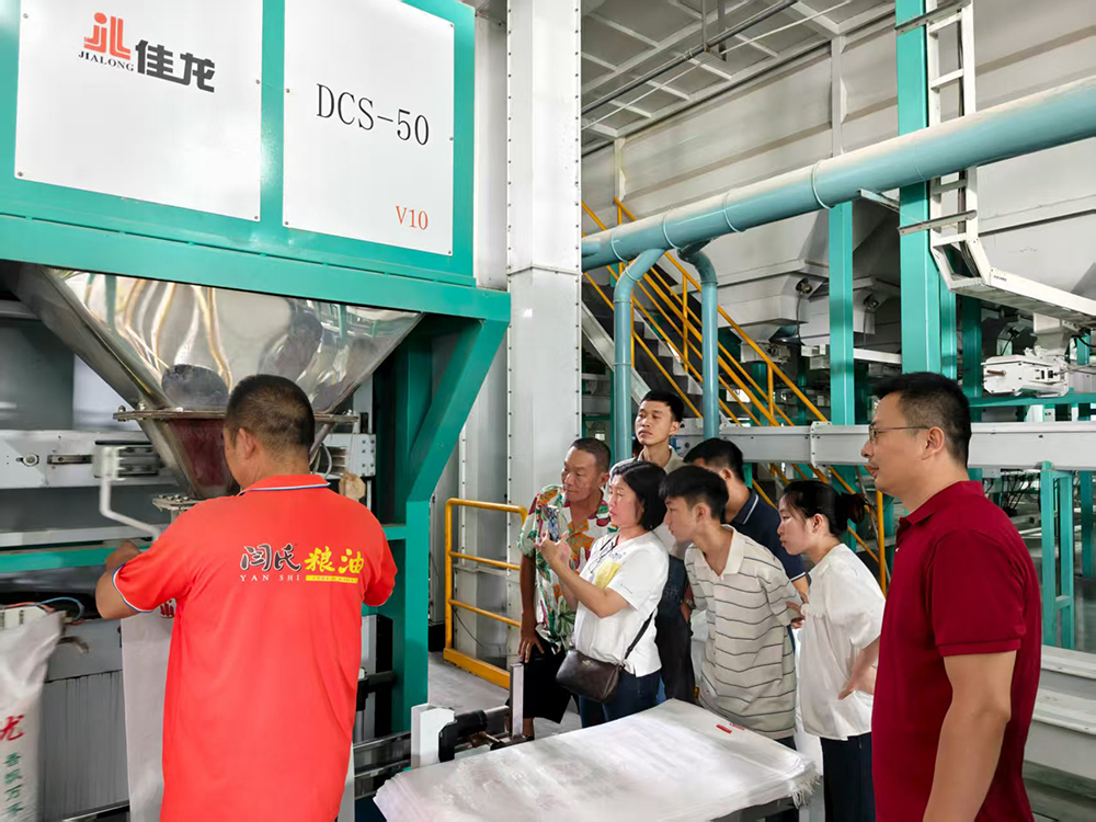 Robotic Palletizing System Robotic Palletizing System