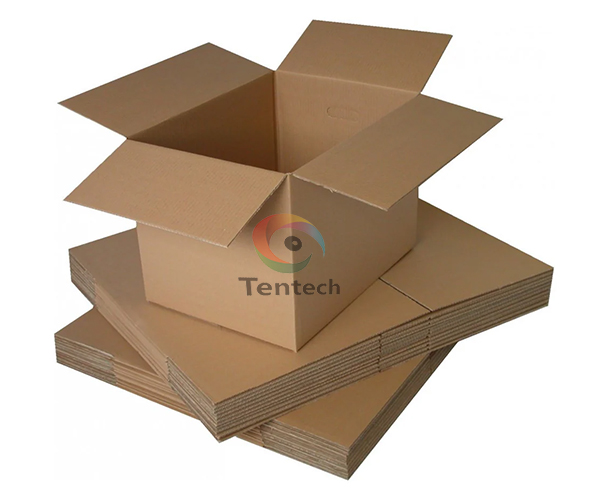 Carton packaging.jpg