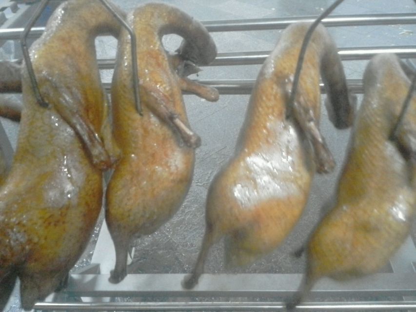 Roast duck Oven