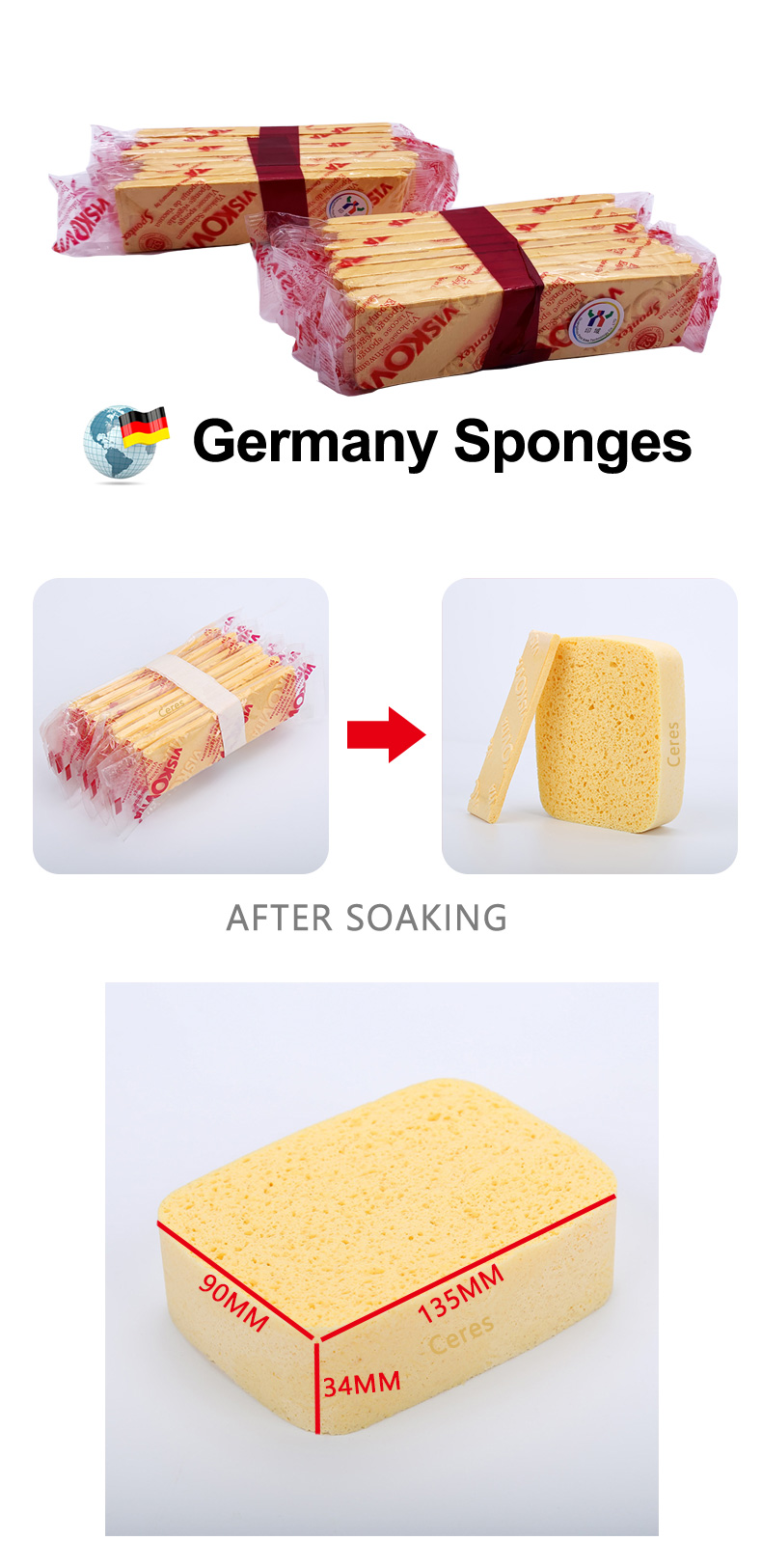 Germany sponge