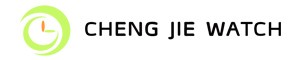 SHEN ZHEN CHENG JIE PRÄZISIONSUHR CO., LTD