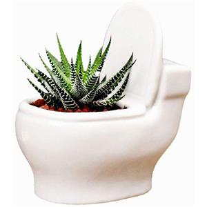 Ceramic Toilet Plant and Flower Pot