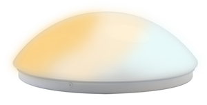 Lampa sufitowa LED LS7D13-2101-1