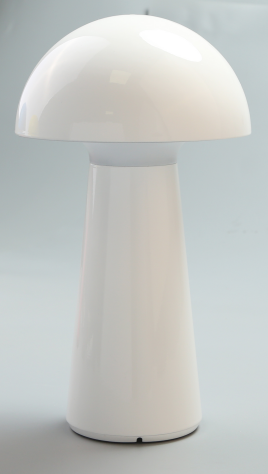 LED mushroom table lamp