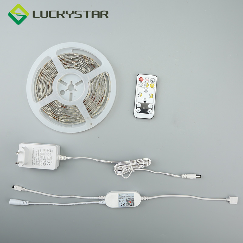 5m Alexa LED Smart Strip Lights with Remote WiFi CCT Colors Changing