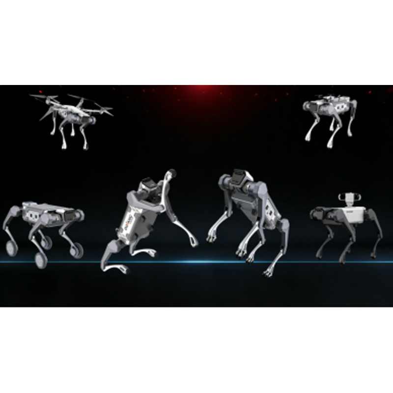 Robot Humanoid DLHR-D2-Max