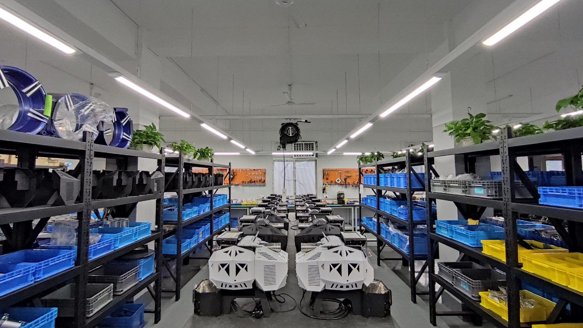 Plants