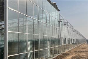 Tianwa Smart Agricultural Park Projekt