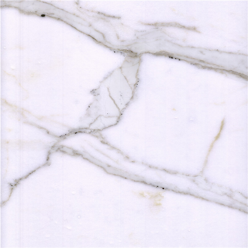 Bianco Calacatta Marble