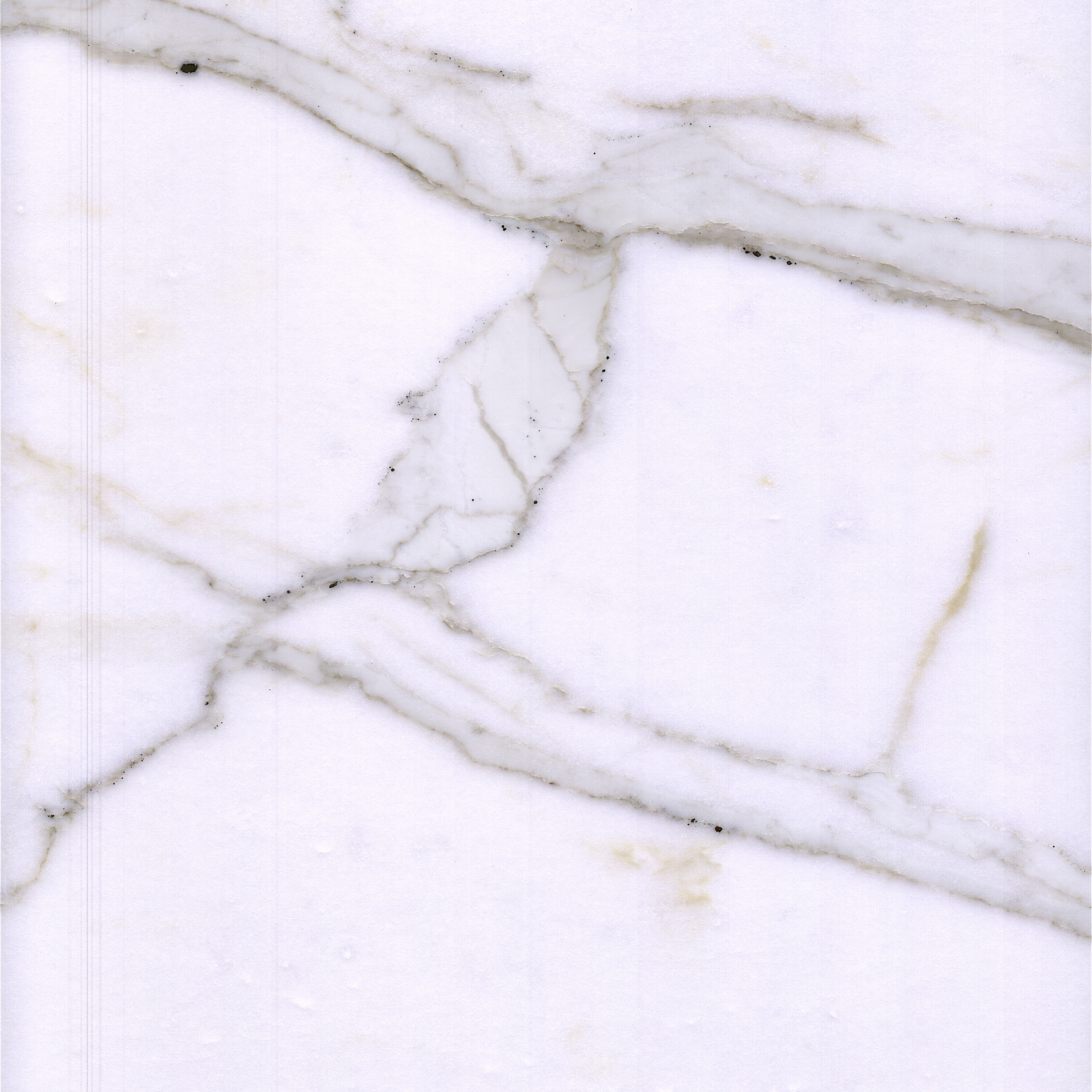 Bianco Calacatta Marble Calacatta Marble Tiles