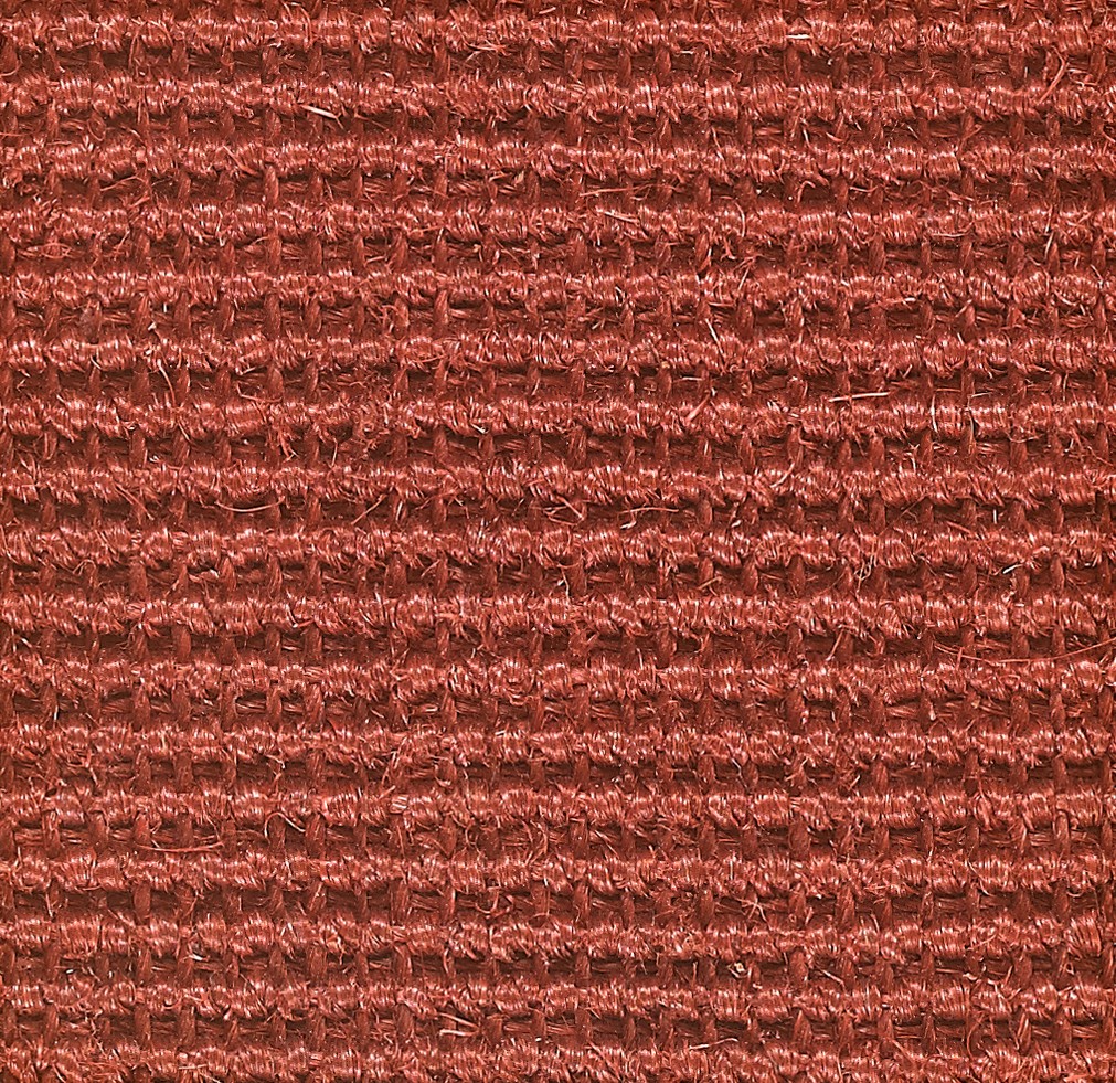 Sisal Home Depot Striped Tufted Carpet