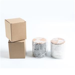 Tea Coffee Sugar Canisters Diatomite Storage Jar
