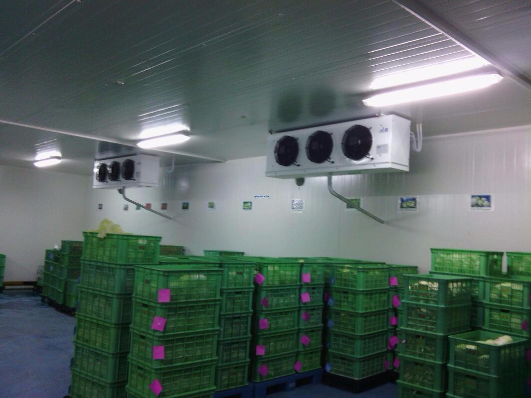 Energy Saving Cold Room Equipment