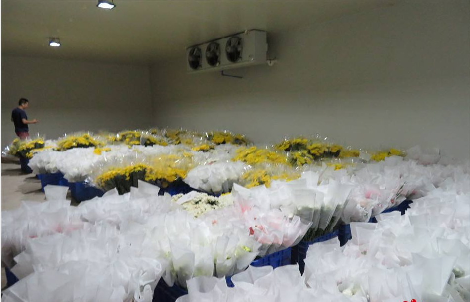 Flower Storage Cold Room