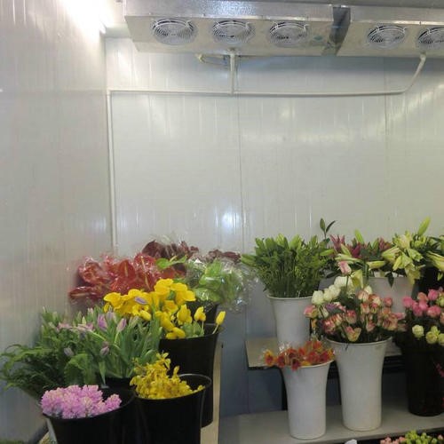 Flower Storage Cold Room