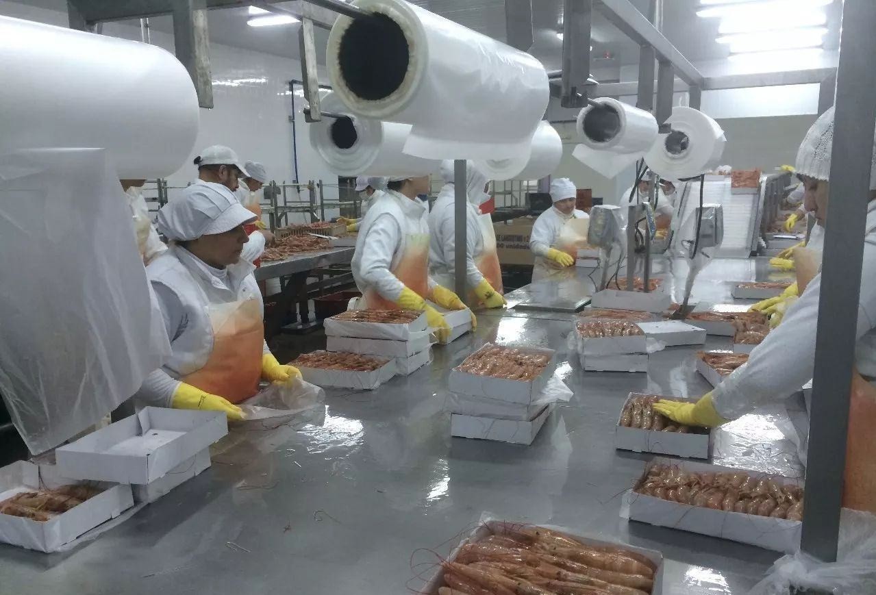 Китай Морозильная камера для мяса и морепродуктов, производитель