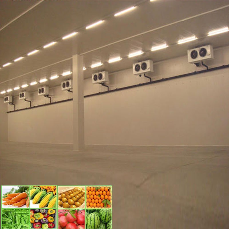 Vegetables And Fruits Cold Room