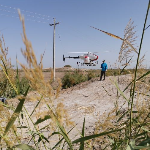 Ayudar a los agricultores locales en la protección de las plantas con un helicóptero agrícola