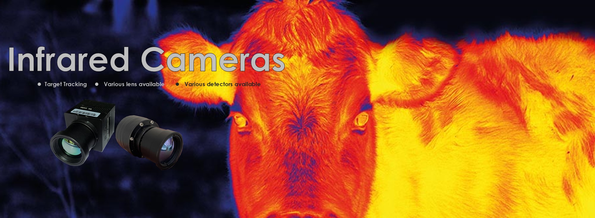 Thermal cameras