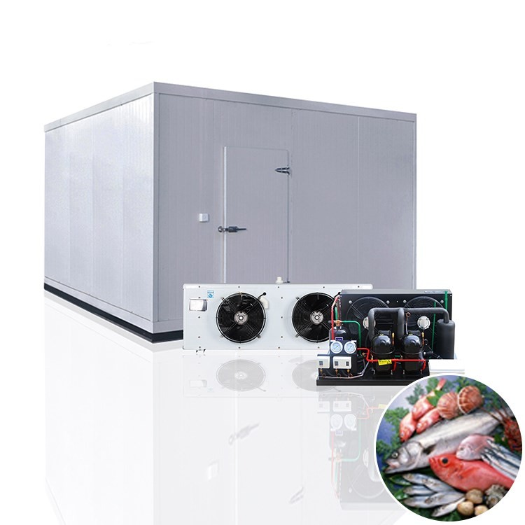 China Cold Room Manufacturers, How To Get Warm In A Cold Room