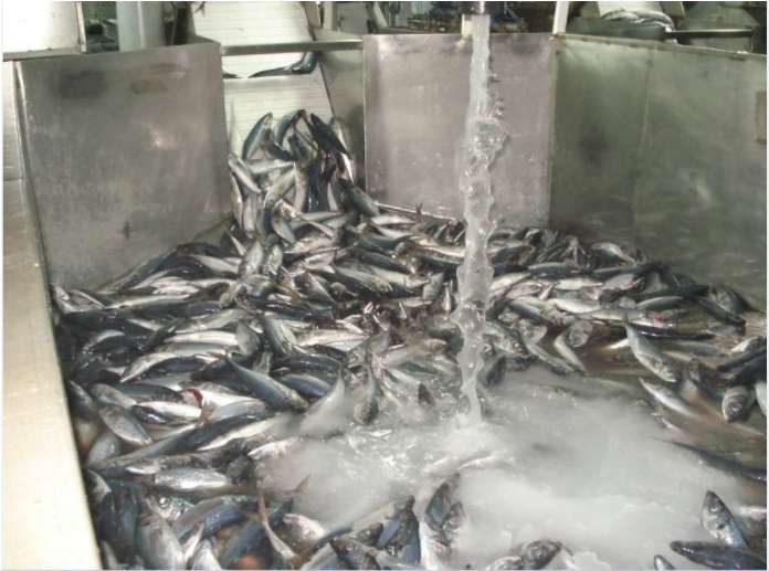 Китай 10-тонное оборудование для производства ледяной суспензии мелкой суспензии для рыбного проекта, производитель