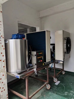 2 ton flake ice machine