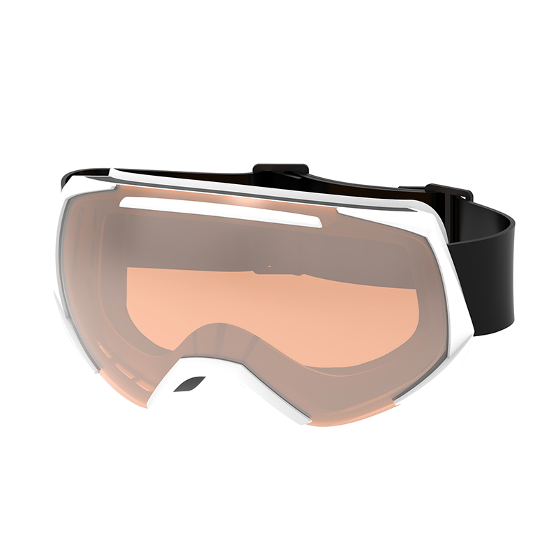 Sport ski goggle