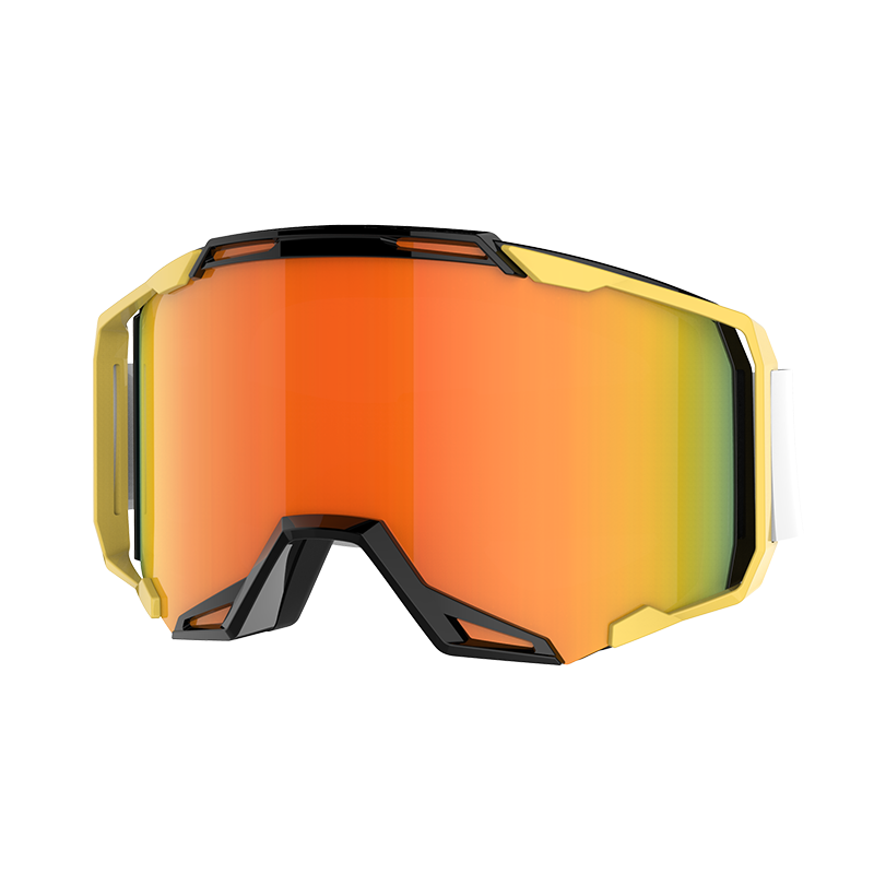 Skisportbrille