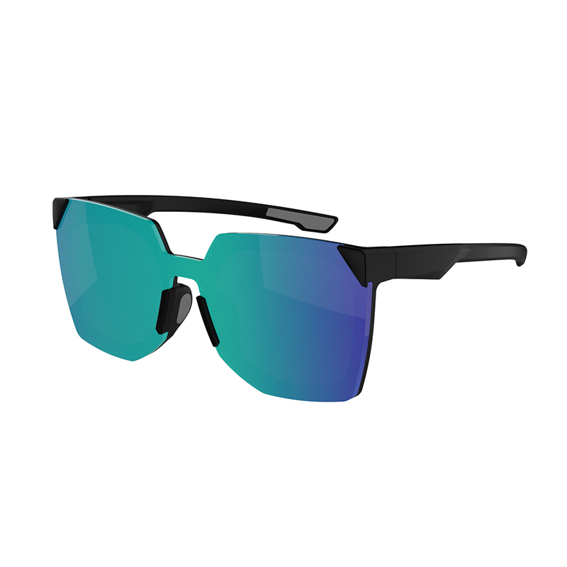 Lifestyle Sunglasses 1