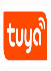 Serrure de porte intelligente à verrouillage intelligent avec fonction d'application WiFi Tuya