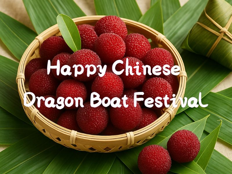 2025 Chinese Dragon Boat Festival Team Building