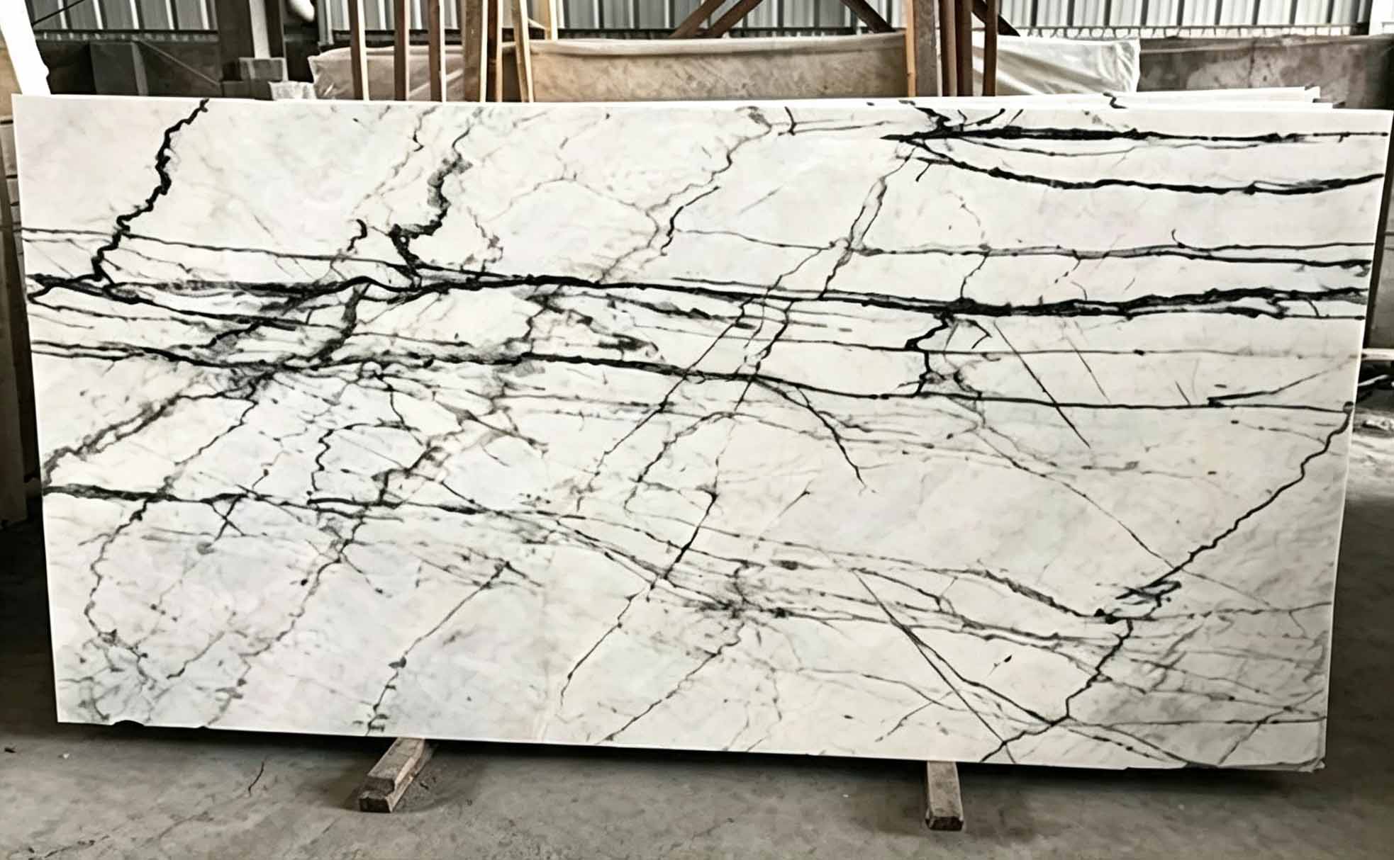 Picasso White Marble Slabs With Black Vein Marble