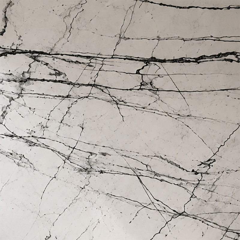 Picasso White Marble Slabs With Black Vein Marble