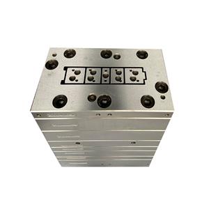 PVC And Wood Powder Wall Panel Extrusion Mould