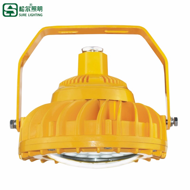 50W 100W ATEX Certificate Gas Explosion Proof Led Light