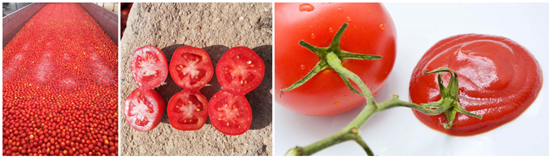 diced tomatoes and tomato paste